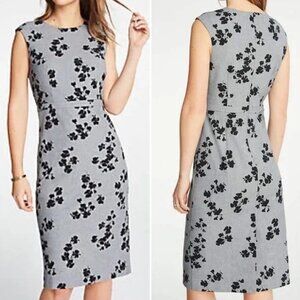 Ann Taylor Floral Cap Sleeve Dress
